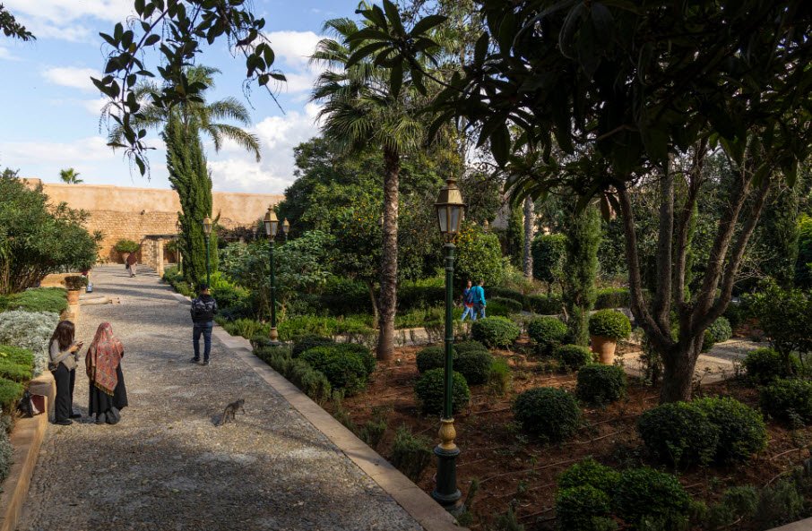 Botanical Garden, Morocco